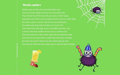 Woolly Spiders